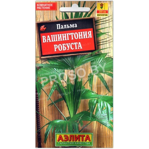 Пальма Вашингтония робуста