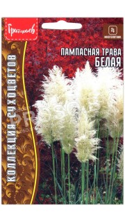 Пампасная трава Белая