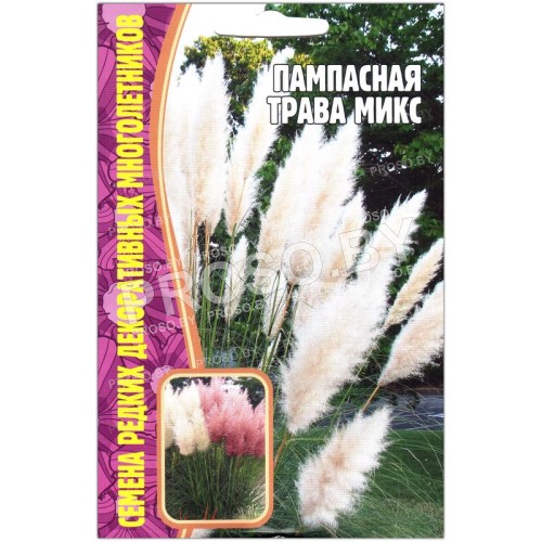Кортадерия (пампасная трава) Микс