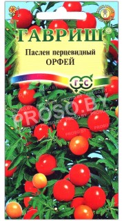 Паслен перцевидный Орфей