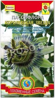 Пассифлора Королевская звезда