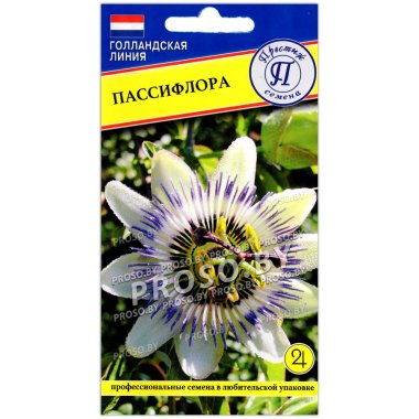 Пассифлора