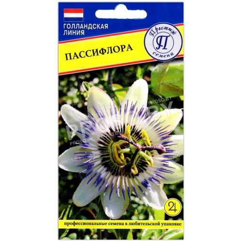 Пассифлора