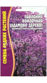 Павлония Войлочная (Адамово дерево)