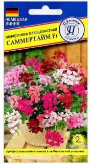 Пеларгония плющелистная Саммертайм F1, смесь