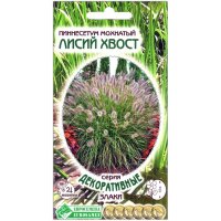 Пеннисетум мохнатый Лисий хвост