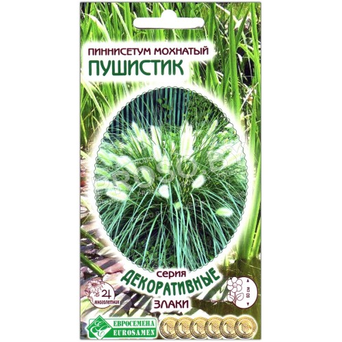 Пеннисетум мохнатый Пушистик