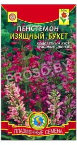 Пенстемон Изящный букет