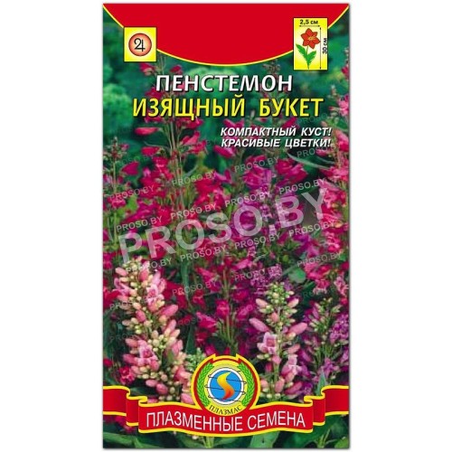 Пенстемон Изящный букет