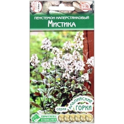 Пенстемон наперстянковый Мистика