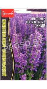 Пенстемон вертикальный Синий
