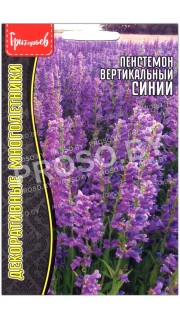 Пенстемон вертикальный Синий