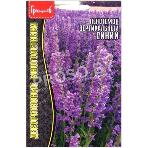 Пенстемон вертикальный Синий