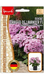 Пентас Graffiti og lavander F1