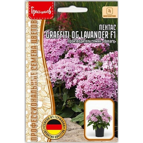 Пентас Graffiti og lavander F1