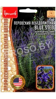Перовския лебедолистная Blue steel