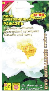 Пион древовидный Рафаэль