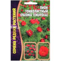 Пион Тонколистный