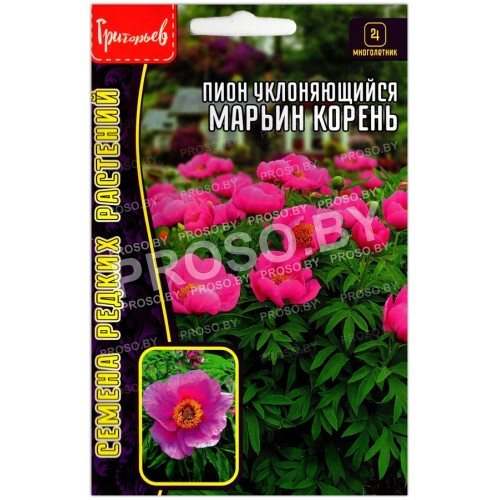 Пион уклоняющийся Марьин корень
