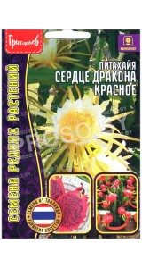 Питахайя Сердце дракона красное