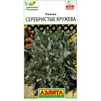 Пижма Серебристые кружева