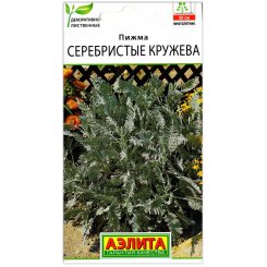 Пижма Серебристые кружева
