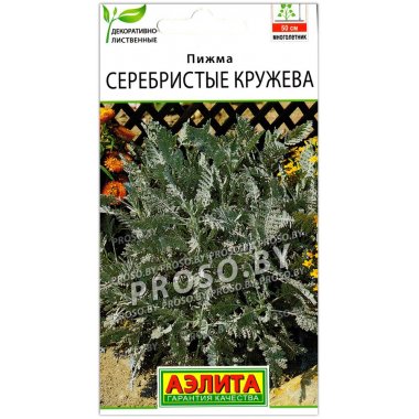 Пижма Серебристые кружева