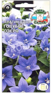 Платикодон Голубое озеро