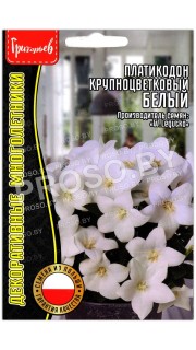 Платикодон крупноцветковый Белый