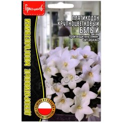 Платикодон крупноцветковый Белый