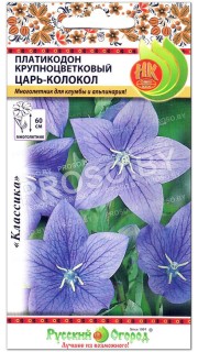Платикодон крупноцветковый Царь-колокол