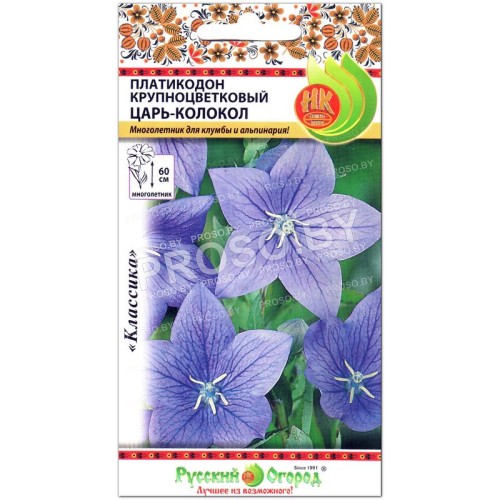 Платикодон крупноцветковый Царь-колокол