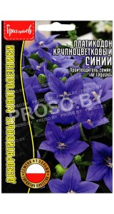 Платикодон крупноцветковый Синий