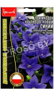 Платикодон крупноцветковый Синий
