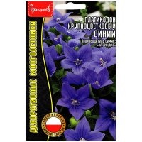 Платикодон крупноцветковый Синий