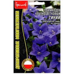 Платикодон крупноцветковый Синий