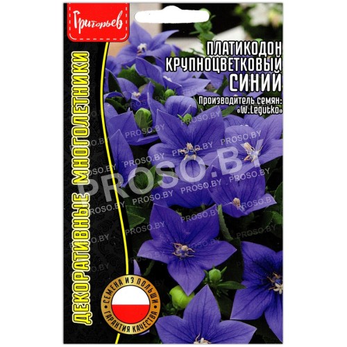 Платикодон крупноцветковый Синий