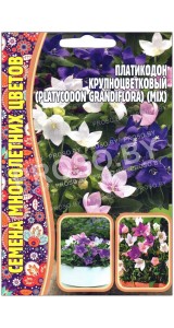Платикодон Крупноцветковый, смесь