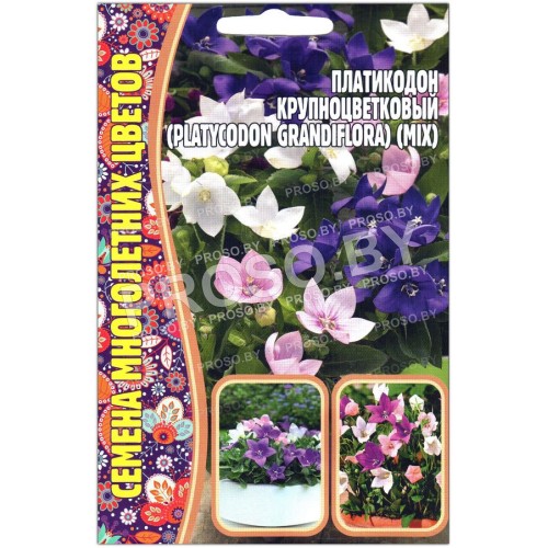 Платикодон Крупноцветковый, смесь