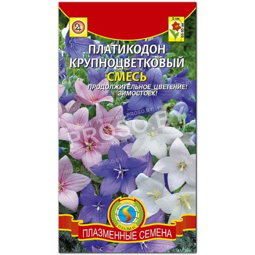 Платикодон Крупноцветковый, смесь-1