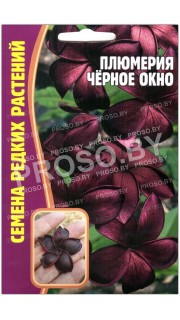Плюмерия Черное окно