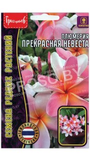 Плюмерия Прекрасная невеста