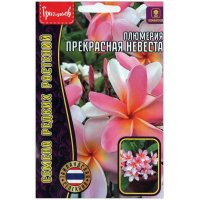 Плюмерия Прекрасная невеста