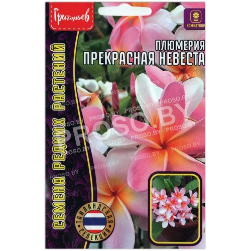 Плюмерия Прекрасная невеста