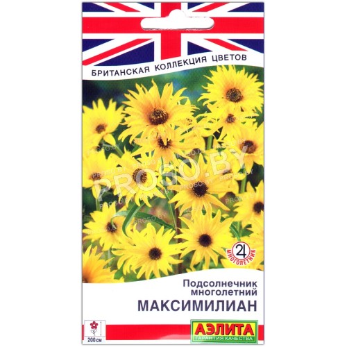 Подсолнечник многолетний Максимилиан