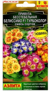 Примула бесстебельная Белиссимо турбоколор F1, смесь