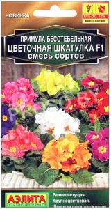 Примула бесстебельная Цветочная шкатулка F1, смесь