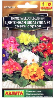 Примула бесстебельная Цветочная шкатулка F1, смесь