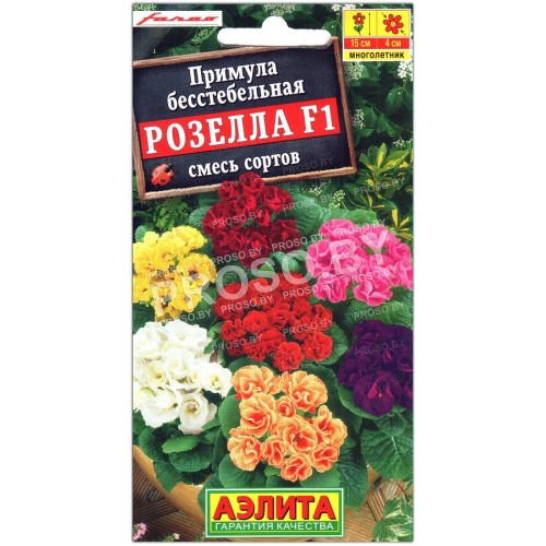 Примула бесстебельная Розелла F1, смесь