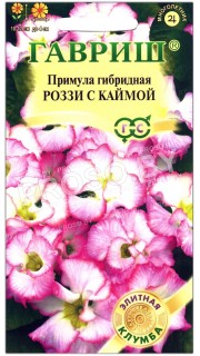 Примула гибридная Роззи с каймой, махровая